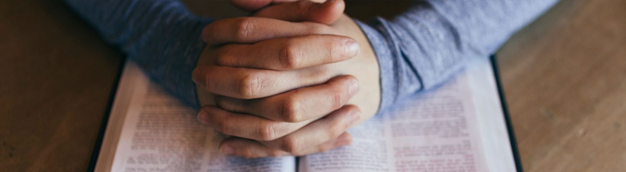 Financial Reports | Most Holy Eucharist
