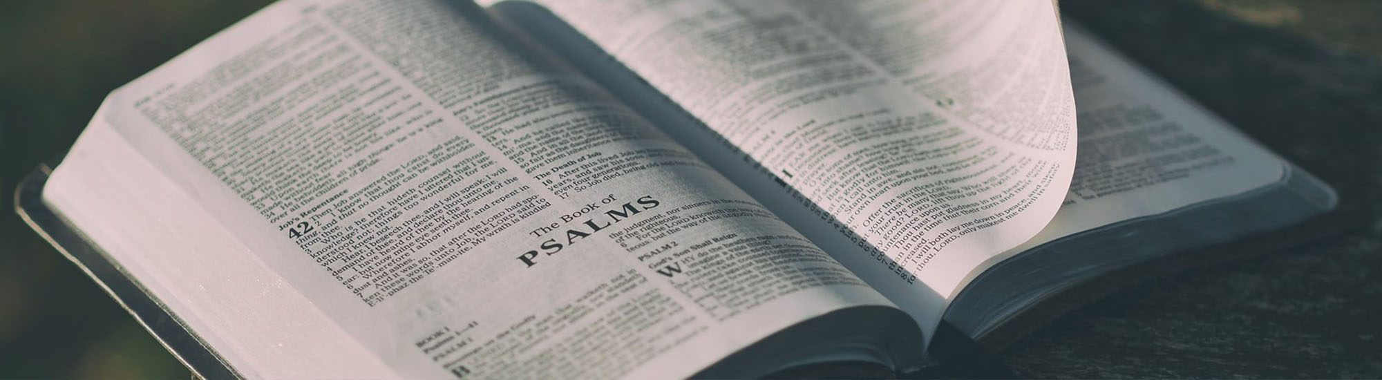 Our Schools | Most Holy Eucharist